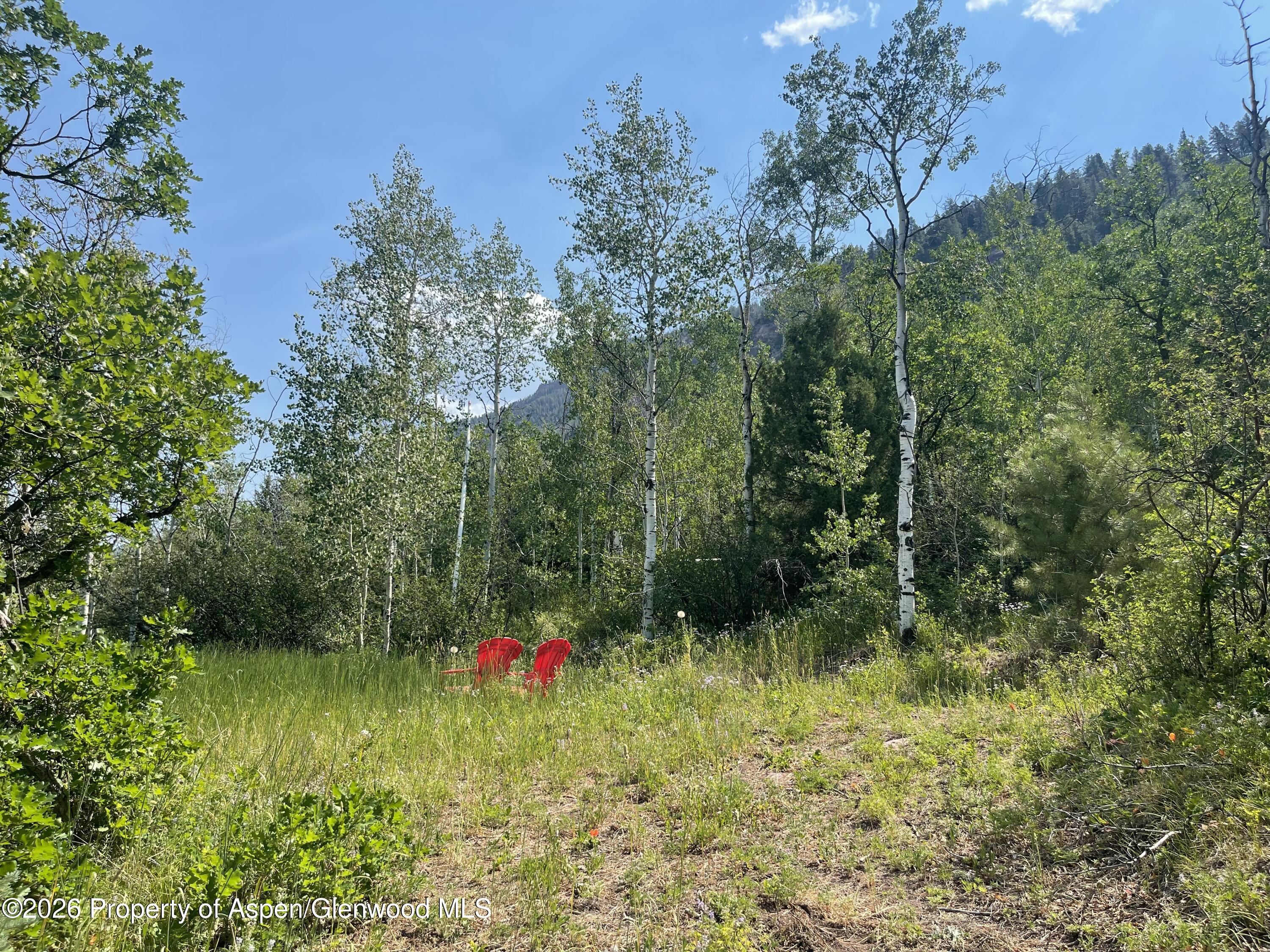 315 Firehouse Road Redstone, CO 81623 - Photo 5 of 12 IMG_1614