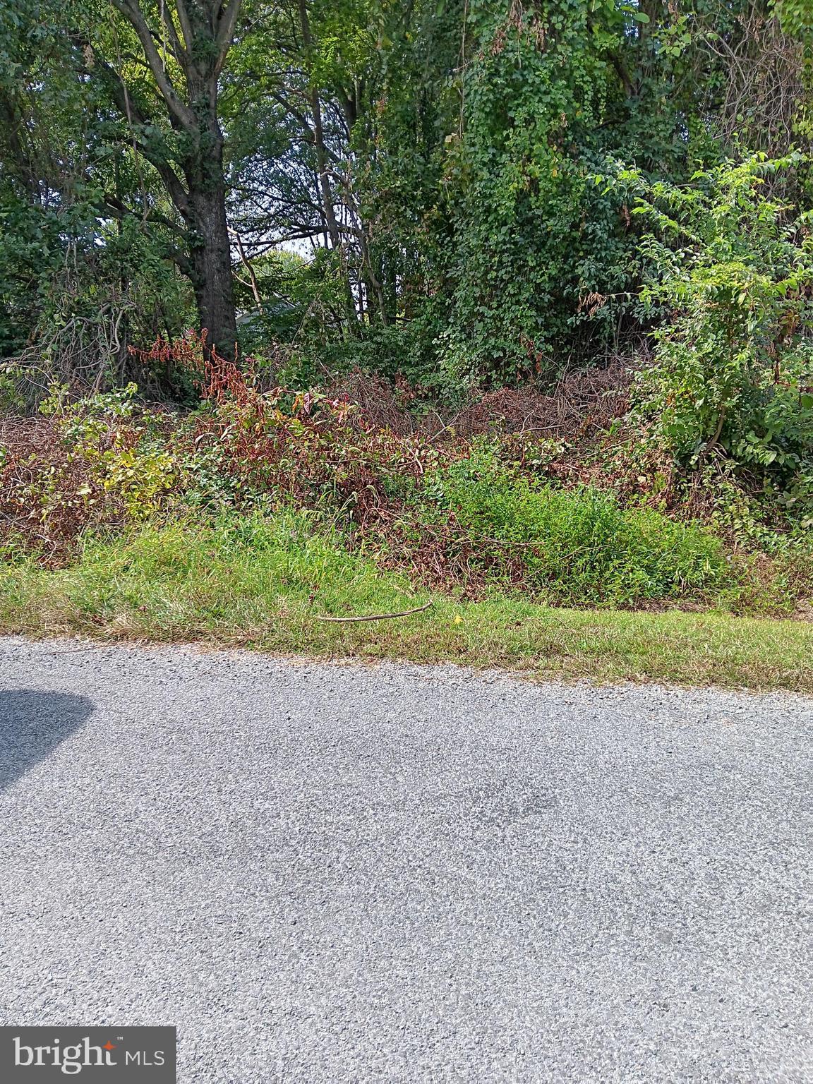 0 Forest Grove Road Colonial Beach, VA 22443 - Photo 1 of 2 Gallery Image 1