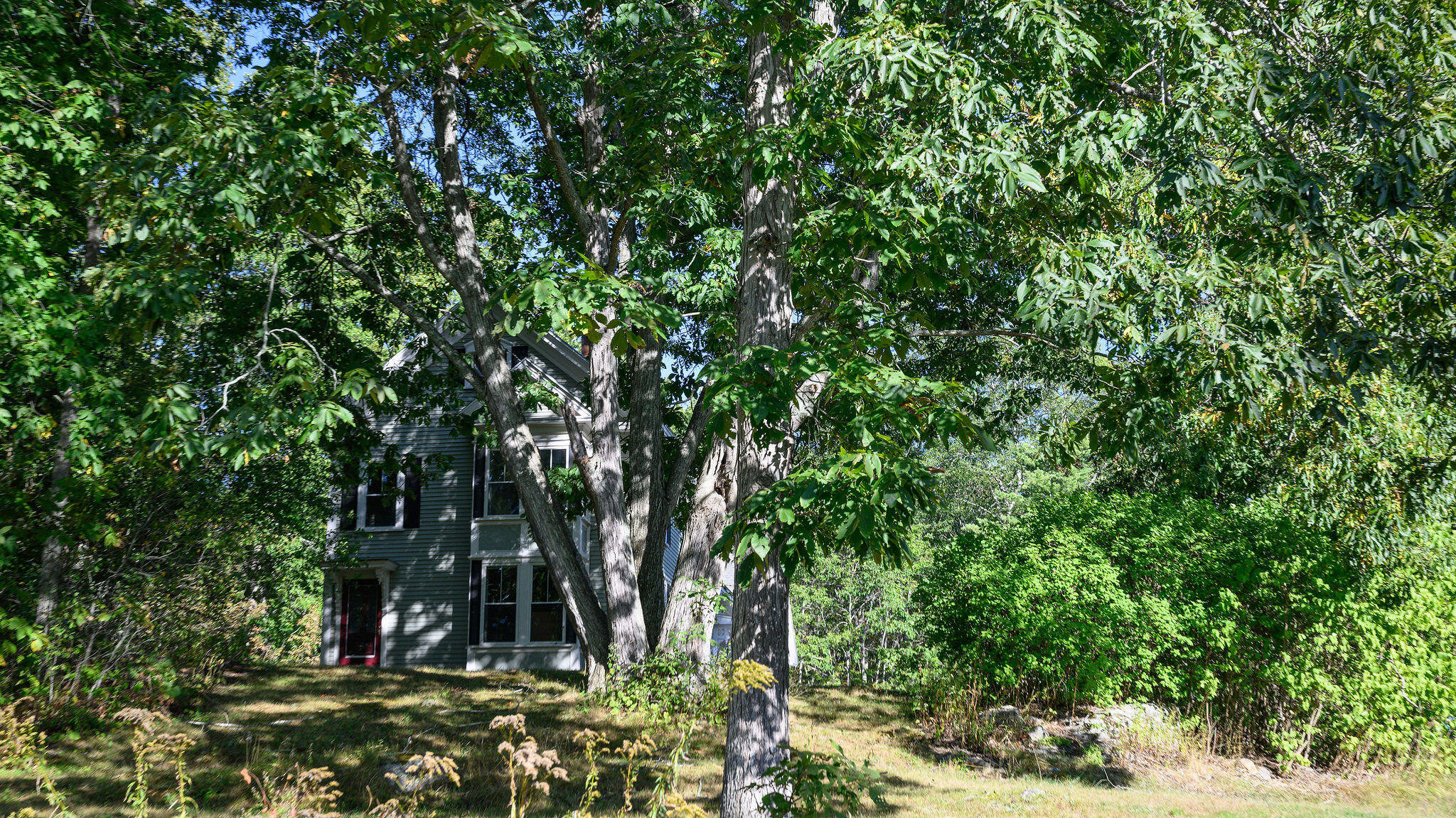 20 Barley Neck Road Woolwich, ME 04579 - Photo 50 of 52 20BarleyNeckRd-3096