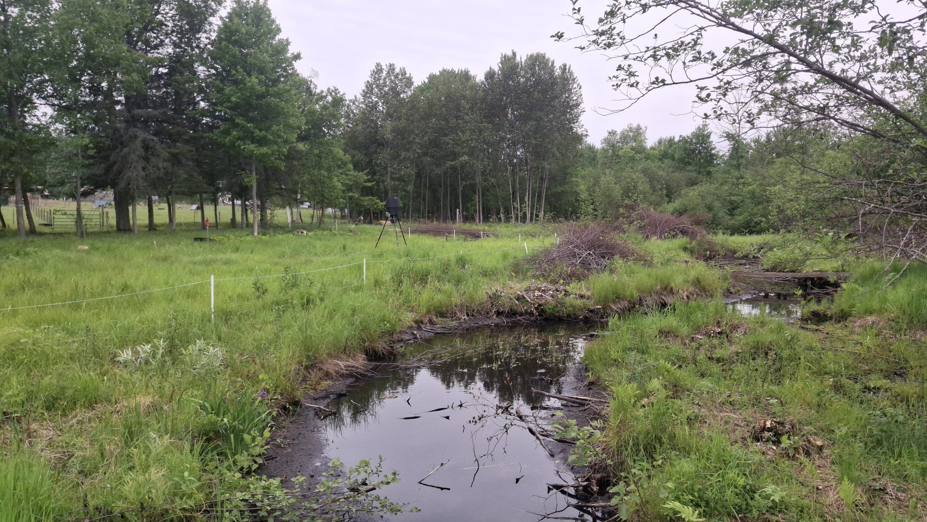 4640 North Harding Avenue Harrison, MI 48625 - Photo 2 of 24 20250614_095620