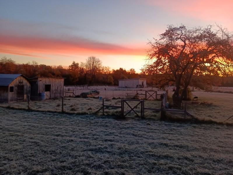 4640 North Harding Avenue Harrison, MI 48625 - Photo 23 of 24 5463243122386060129