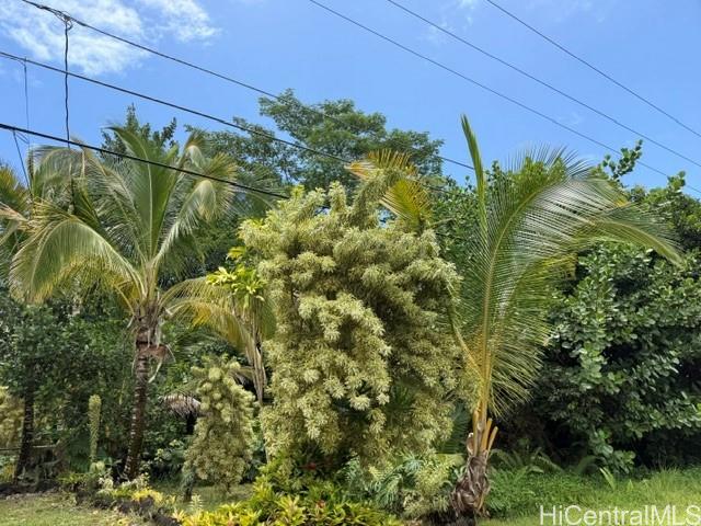 15-1611 Beach Road Keaau, HI 96749 - Photo 9 of 12