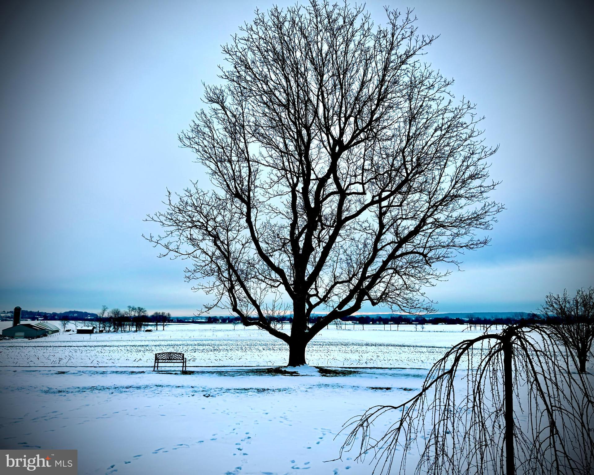 702 Woodcrest Avenue Lititz, PA 17543 - Photo 45 of 54 Winter scene