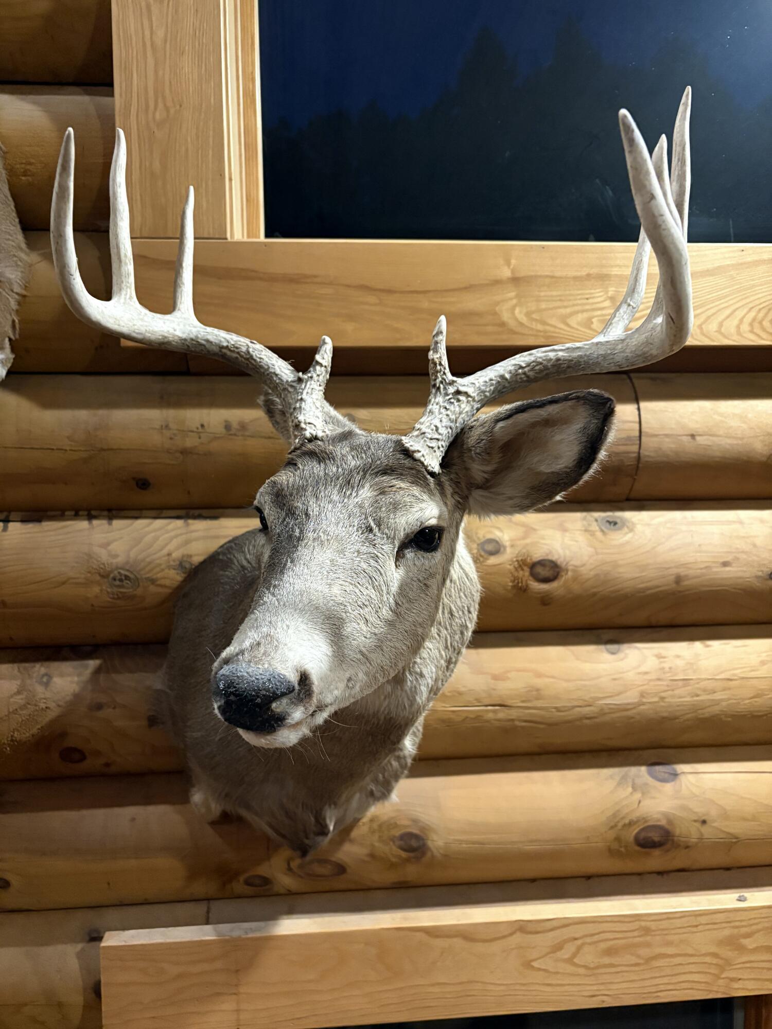 4795 County Rd C Wyoming, WI 53588 - Photo 21 of 82 7878