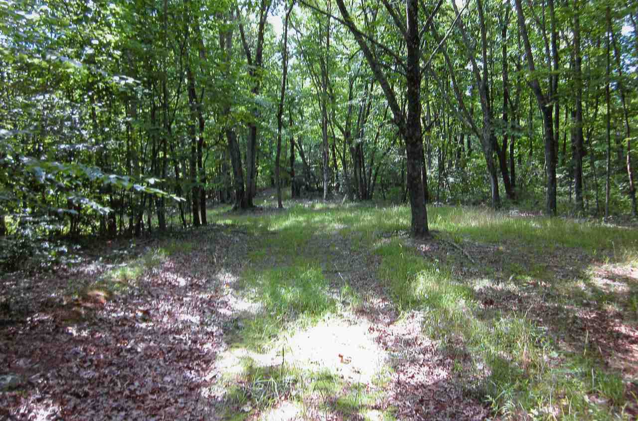 Tbd Campbells Hollow Road Middlebrook, VA 24459 - Photo 3 of 19 a backyard of a house with lots of green space