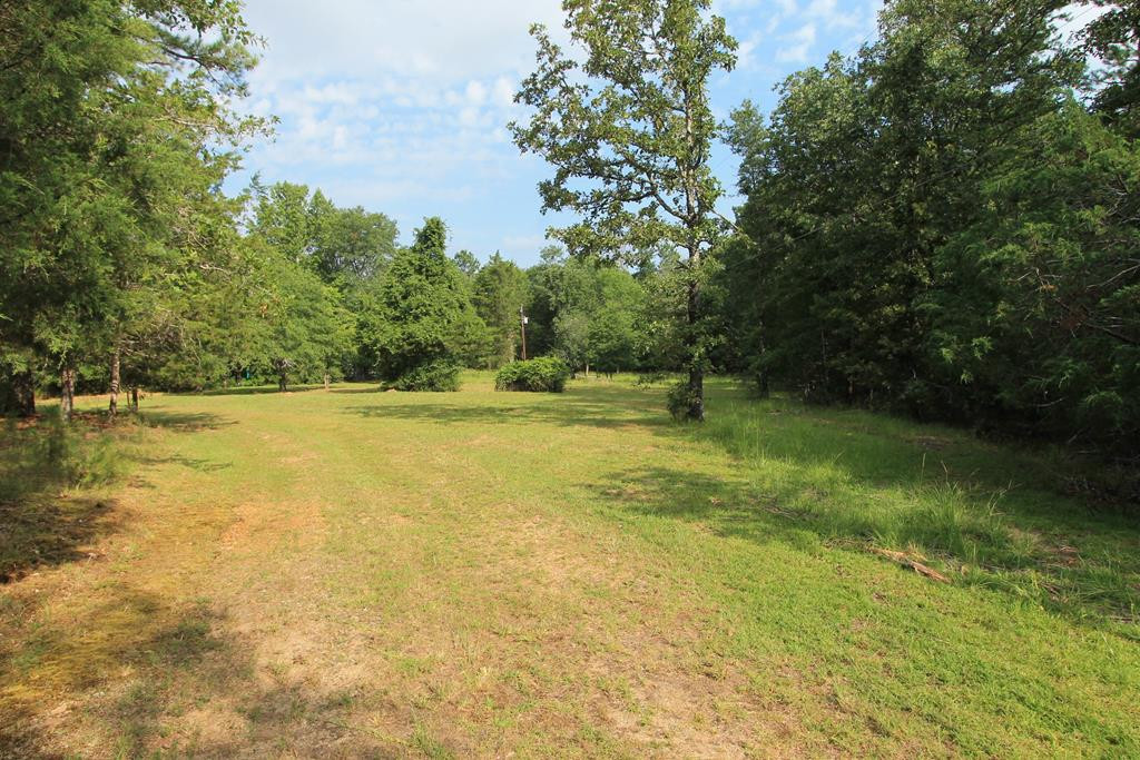 2311 County Camp Road Appling, GA 30802 - Photo 1 of 6 Main View