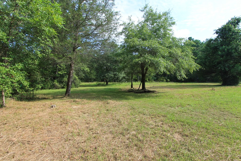 2311 County Camp Road Appling, GA 30802 - Photo 3 of 6