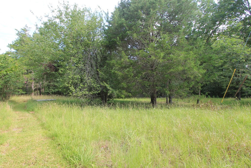 2311 County Camp Road Appling, GA 30802 - Photo 4 of 6