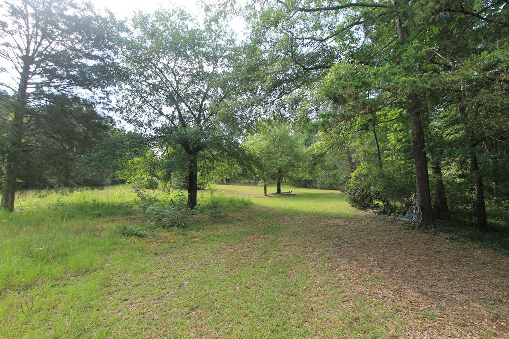 2311 County Camp Road Appling, GA 30802 - Photo 5 of 6