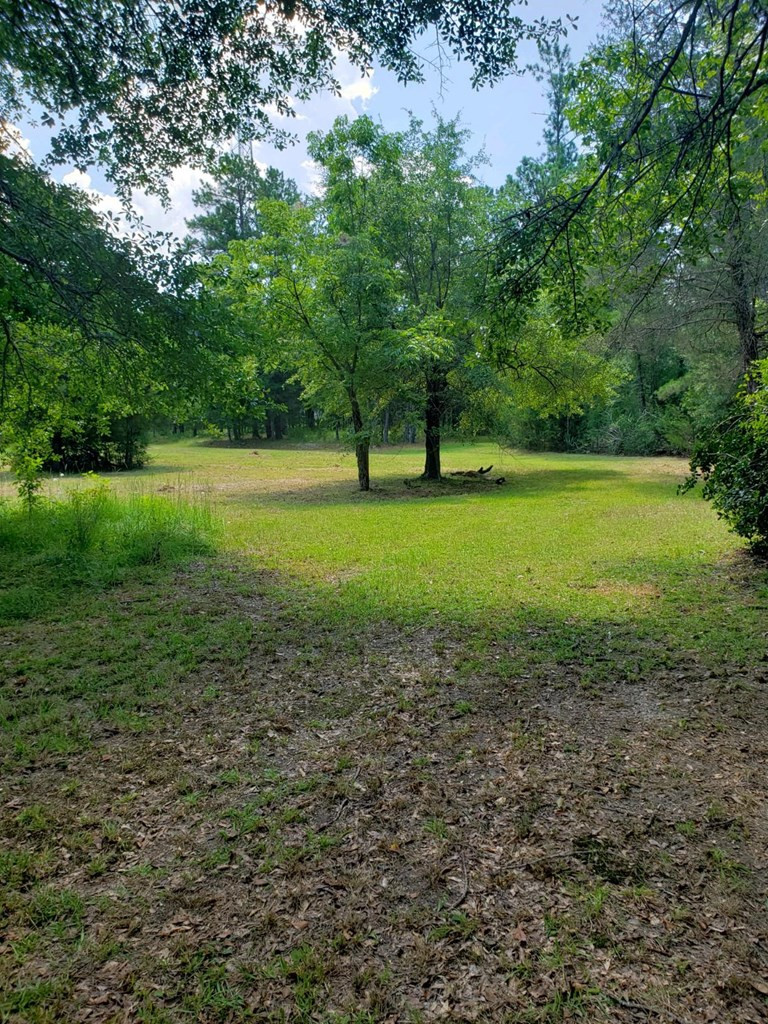 2311 County Camp Road Appling, GA 30802 - Photo 6 of 6