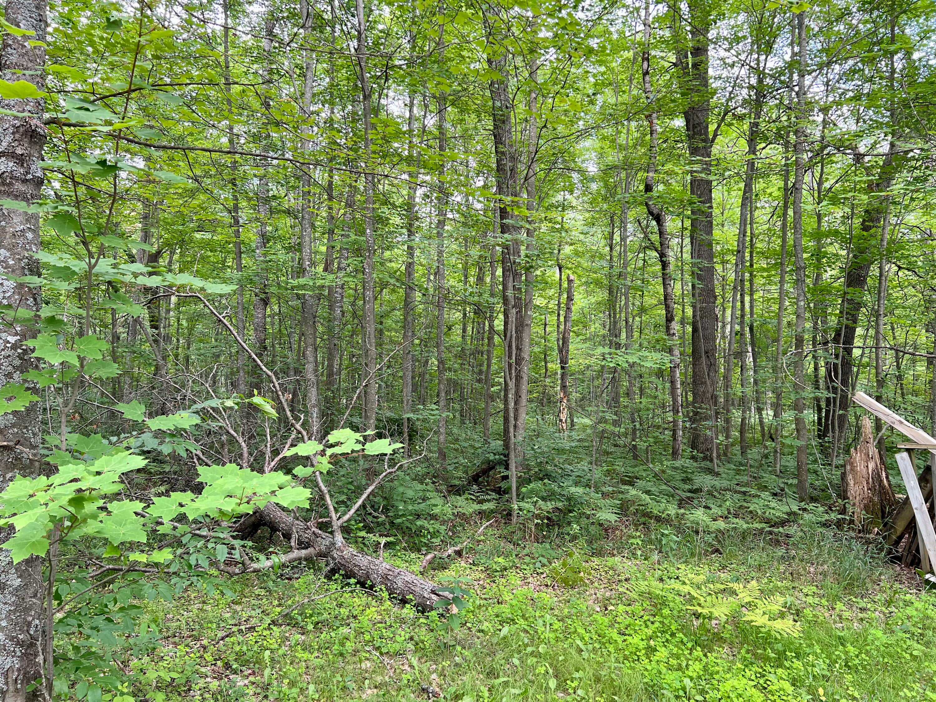 2150 Centerline Road Mio, MI 48647 - Photo 15 of 17 Gallery Image 15