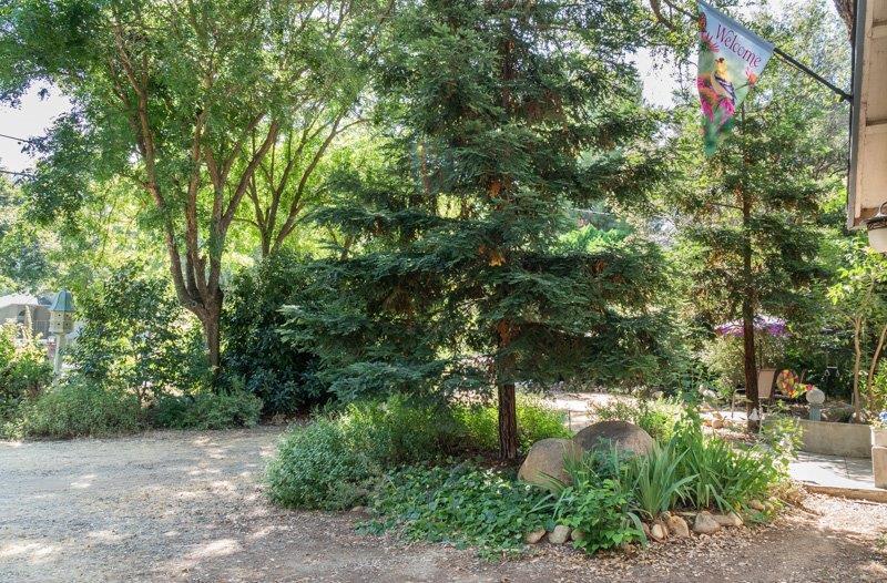 40595 Cherokee Oaks Drive Three Rivers, CA 93271 - Photo 36 of 37 Additional Photo