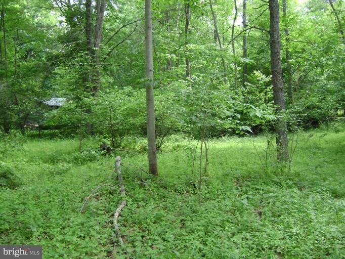 Riverview Road Springfield, WV 26763 - Photo 4 of 10 Exterior #3