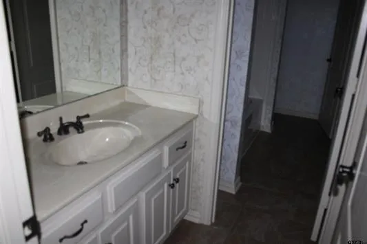 a bathroom with a sink and a mirror