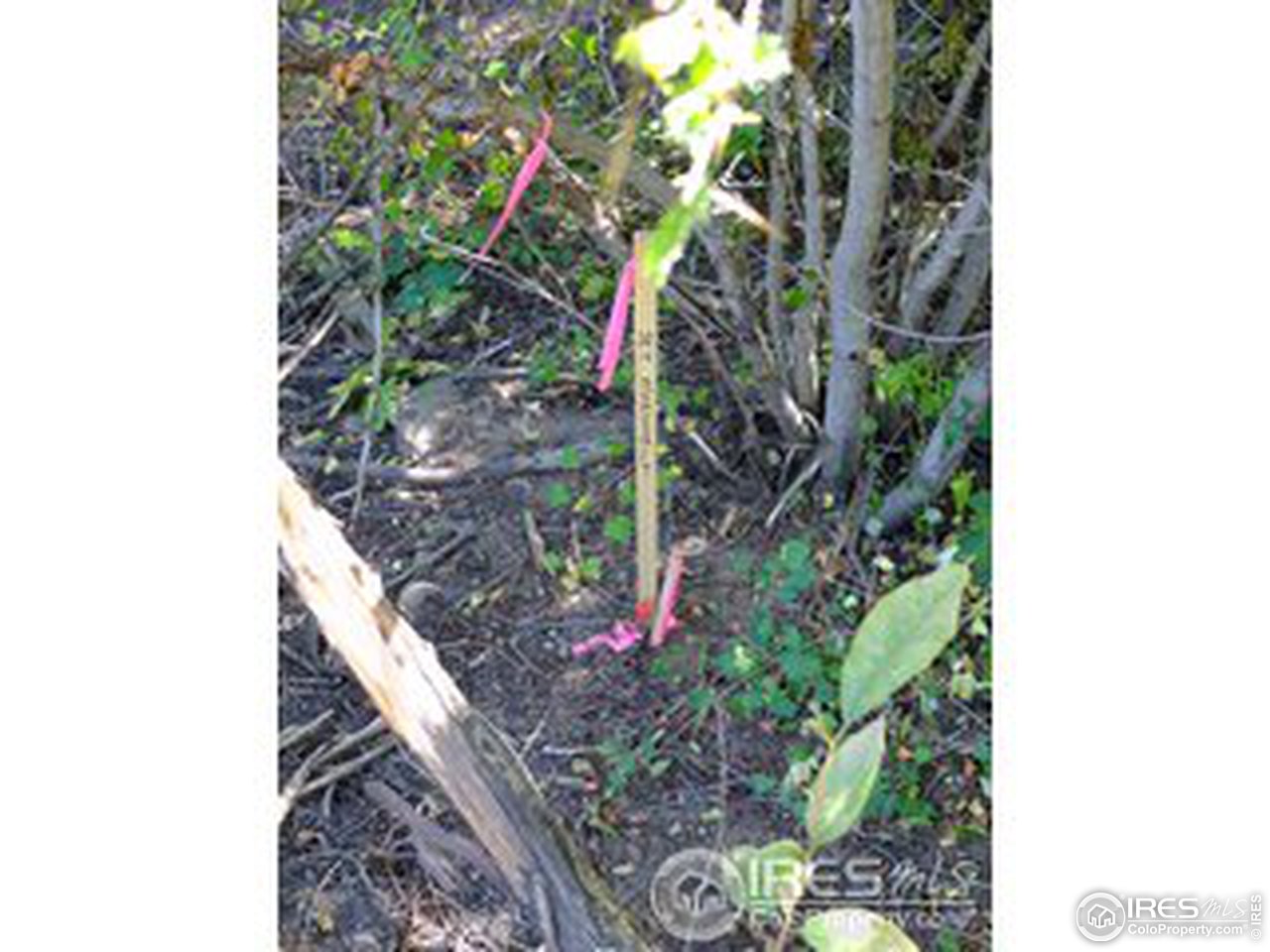 11686 Brook Road Golden, CO 80403 - Photo 12 of 15 Lower Corner
