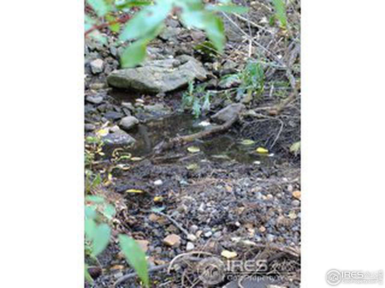 11686 Brook Road Golden, CO 80403 - Photo 7 of 15 Seasonal Stream
