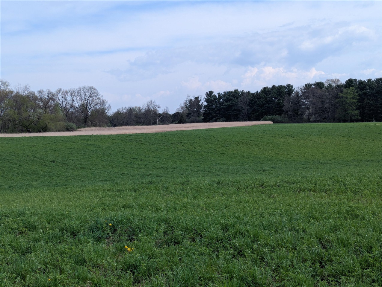 V/l V/l M-50 Road Jackson, MI 49201 - Photo 11 of 20
