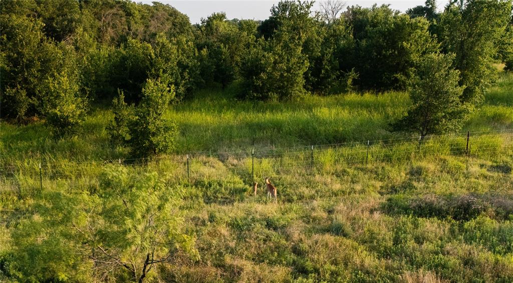 1320 Tidwell Road Weatherford, TX 76087 - Photo 12 of 17