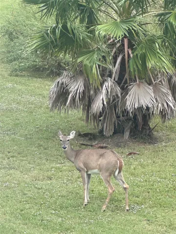 a view of a house with backyard sitting area and garden