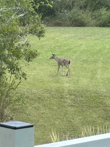 $260,000 | 540 Bayou Avenue, Anahuac, TX 77514