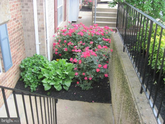 947 South Rolfe Street, Unit A Arlington, VA 22204 - Photo 2 of 18 Exterior (Front)