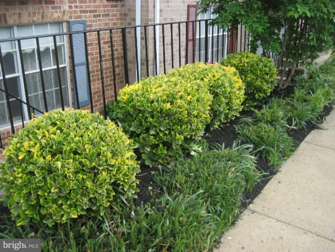 947 South Rolfe Street, Unit A Arlington, VA 22204 - Photo 9 of 18 Exterior (Front)