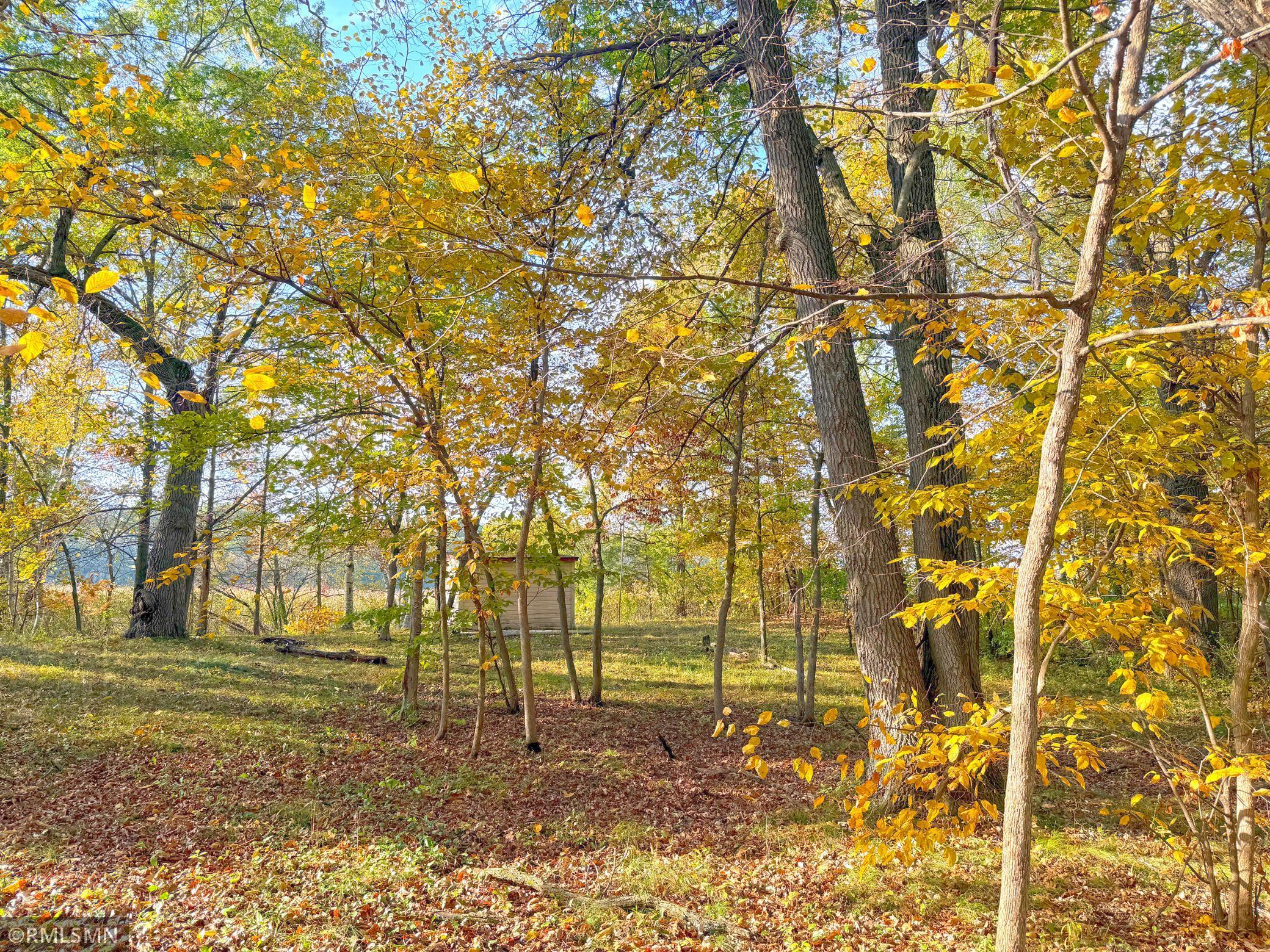 18609 Dover Road Clearwater, MN 55320 - Photo 6 of 34