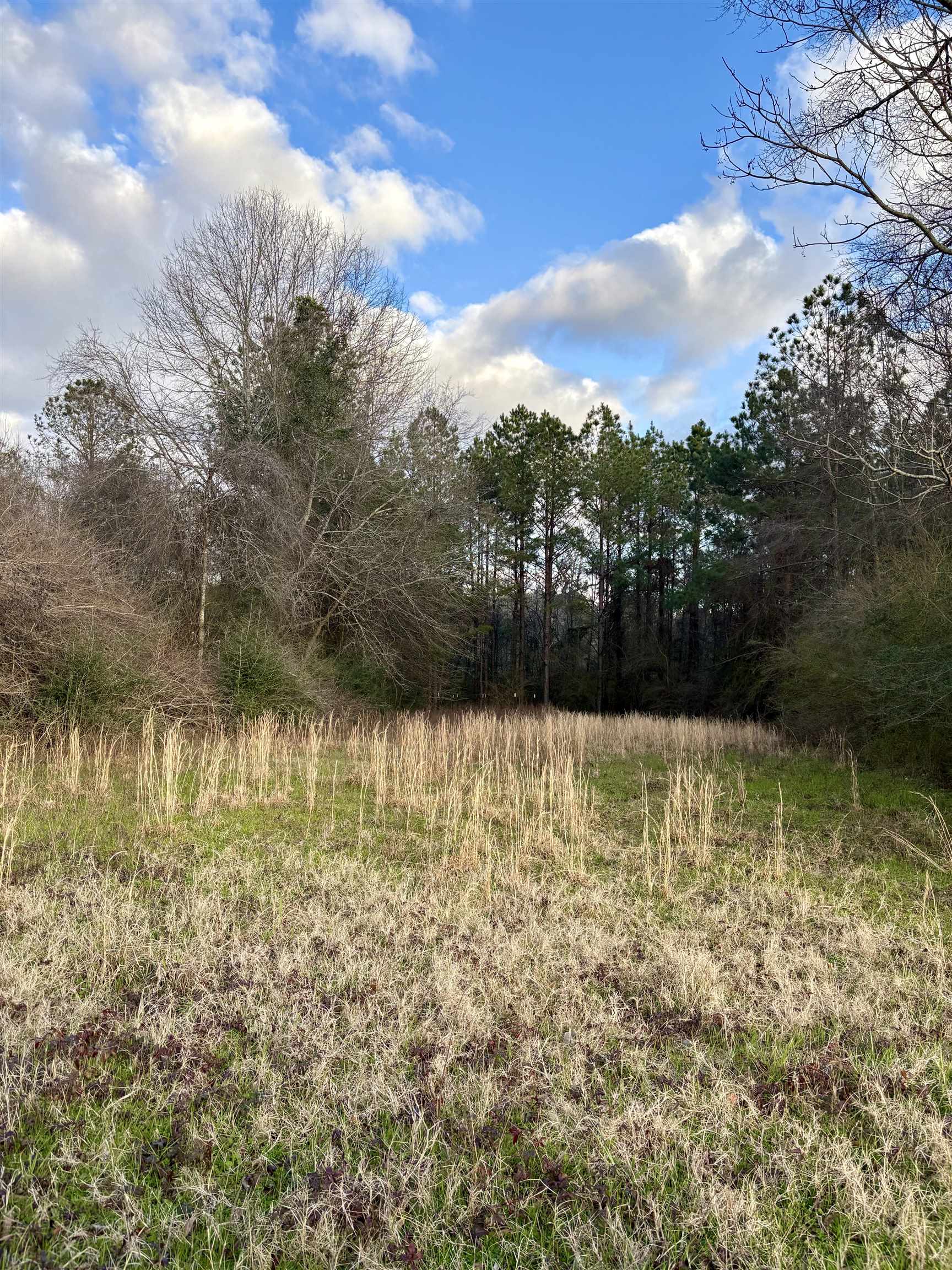 0 James Brooks Road Atmore, AL 36502 - Photo 4 of 16 View