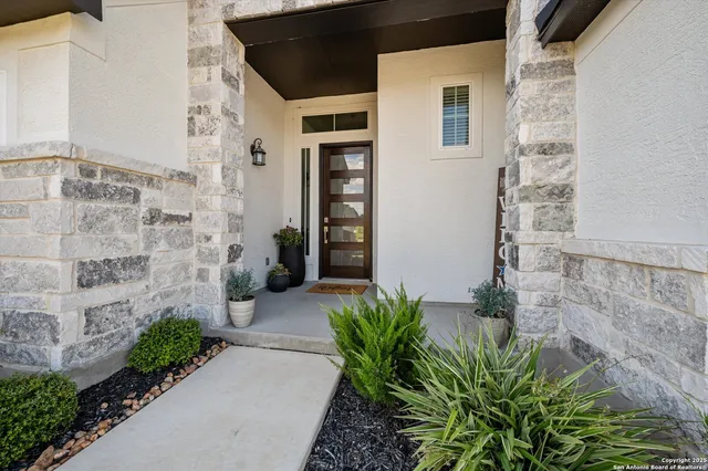 a potted plant in front of a door