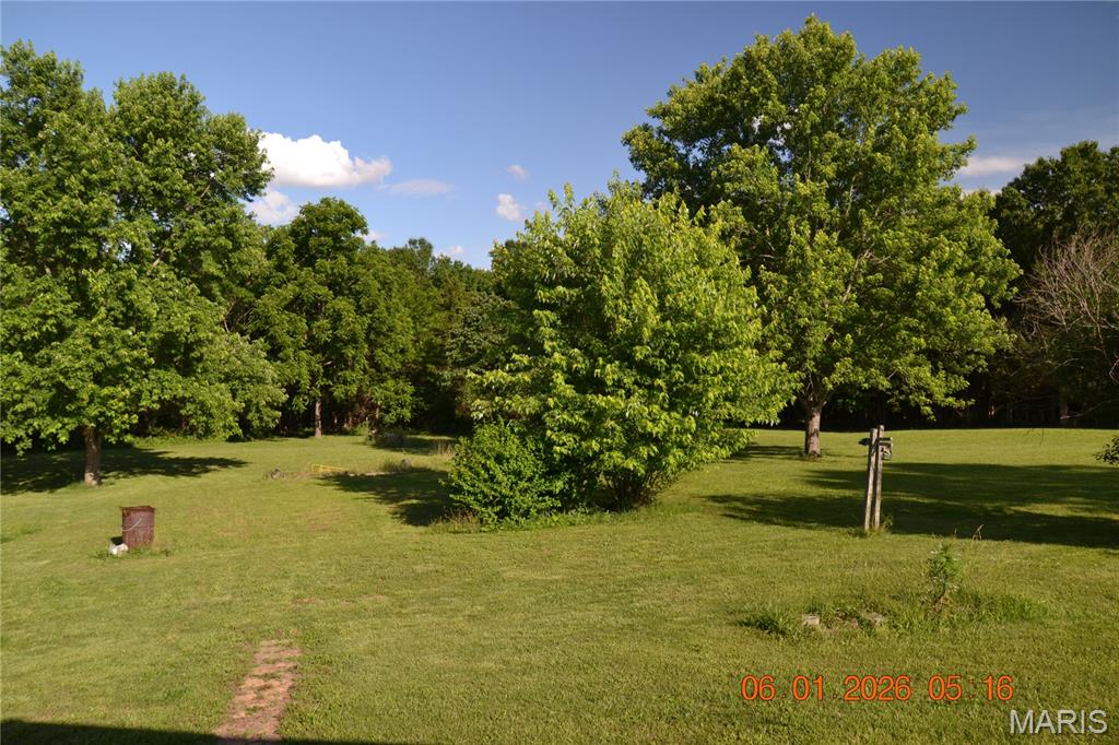 4350 Silver Springs Road Bonne Terre, MO 63628 - Photo 12 of 41