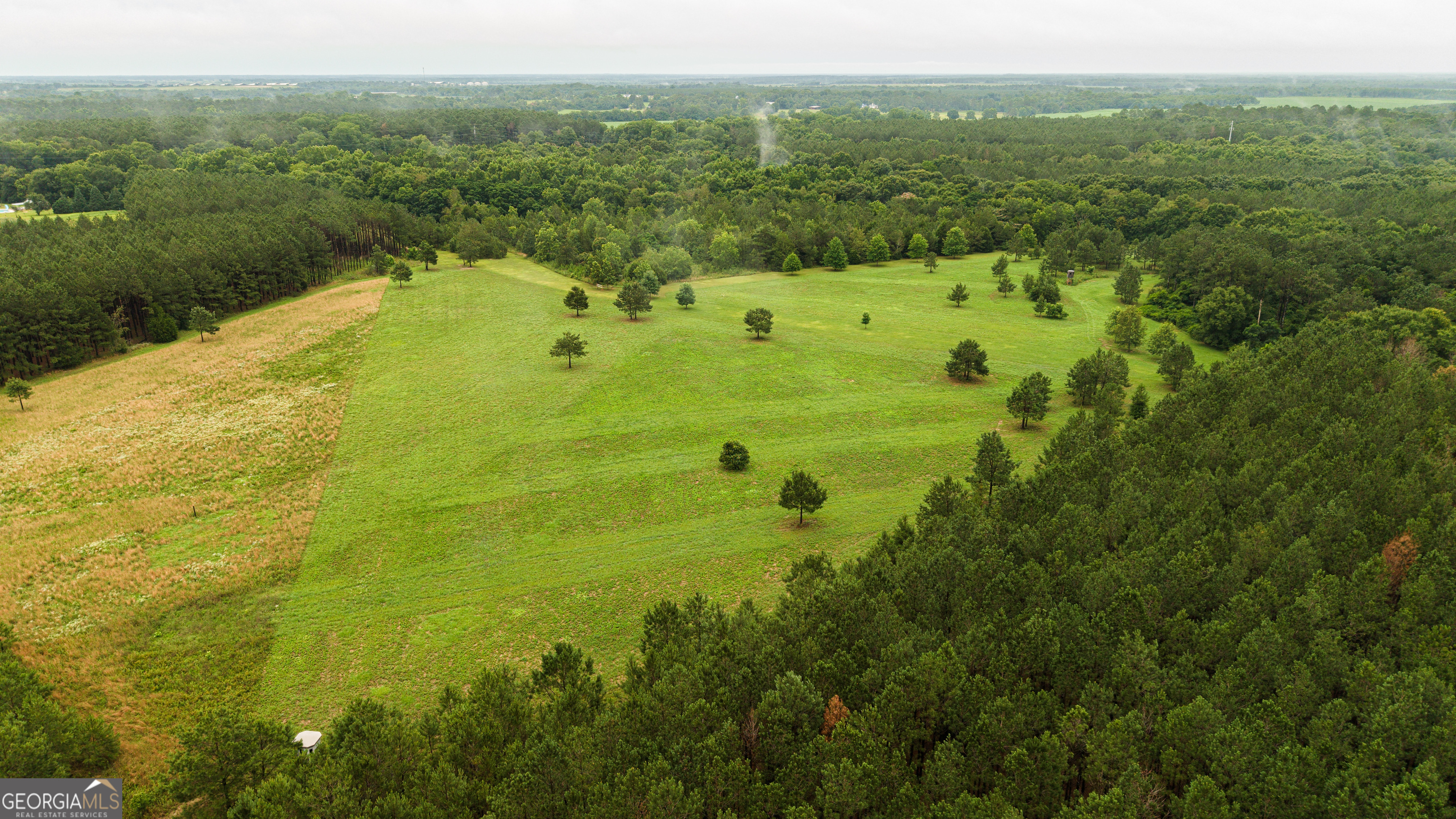 990 Highway 49 Americus, GA 31719 - Photo 5 of 121
