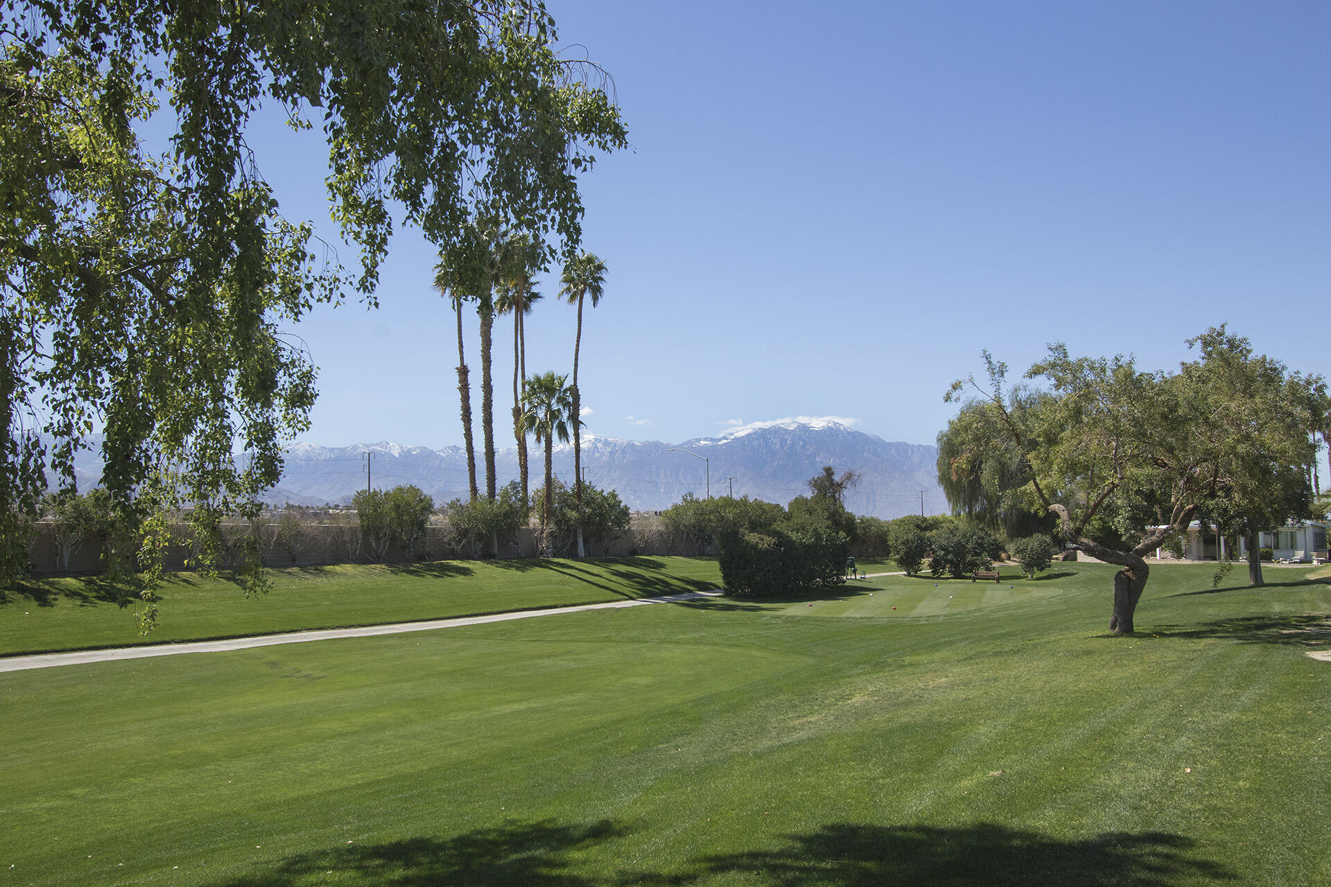 74651 Sweetwell Road Thousand Palms, CA 92276 - Photo 3 of 40 4Z6A7948 web