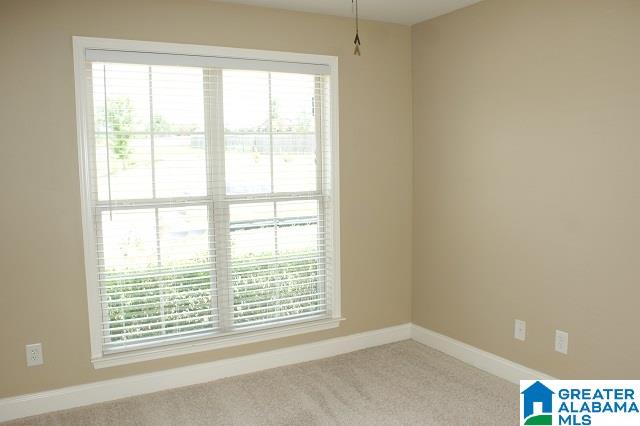 1009 Sapphire Street Calera, AL 35040 - Photo 18 of 24