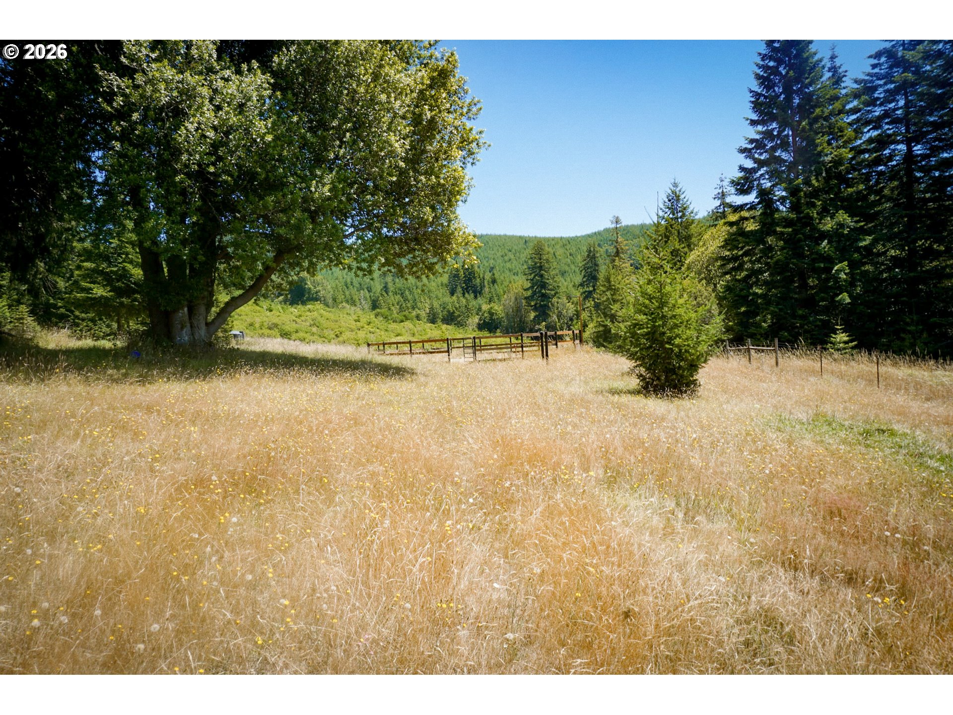 55719 Finley Loop Coquille, OR 97423 - Photo 25 of 28