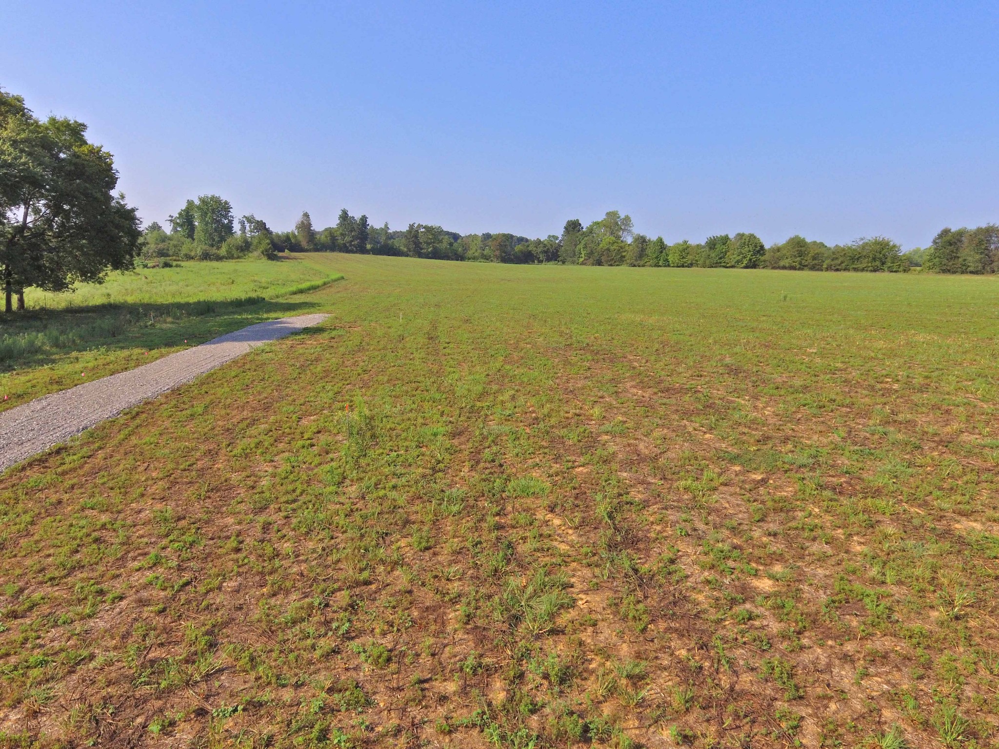 456 Clearview Road Cottontown, TN 37048 - Photo 4 of 6 a view of a lake and a yard