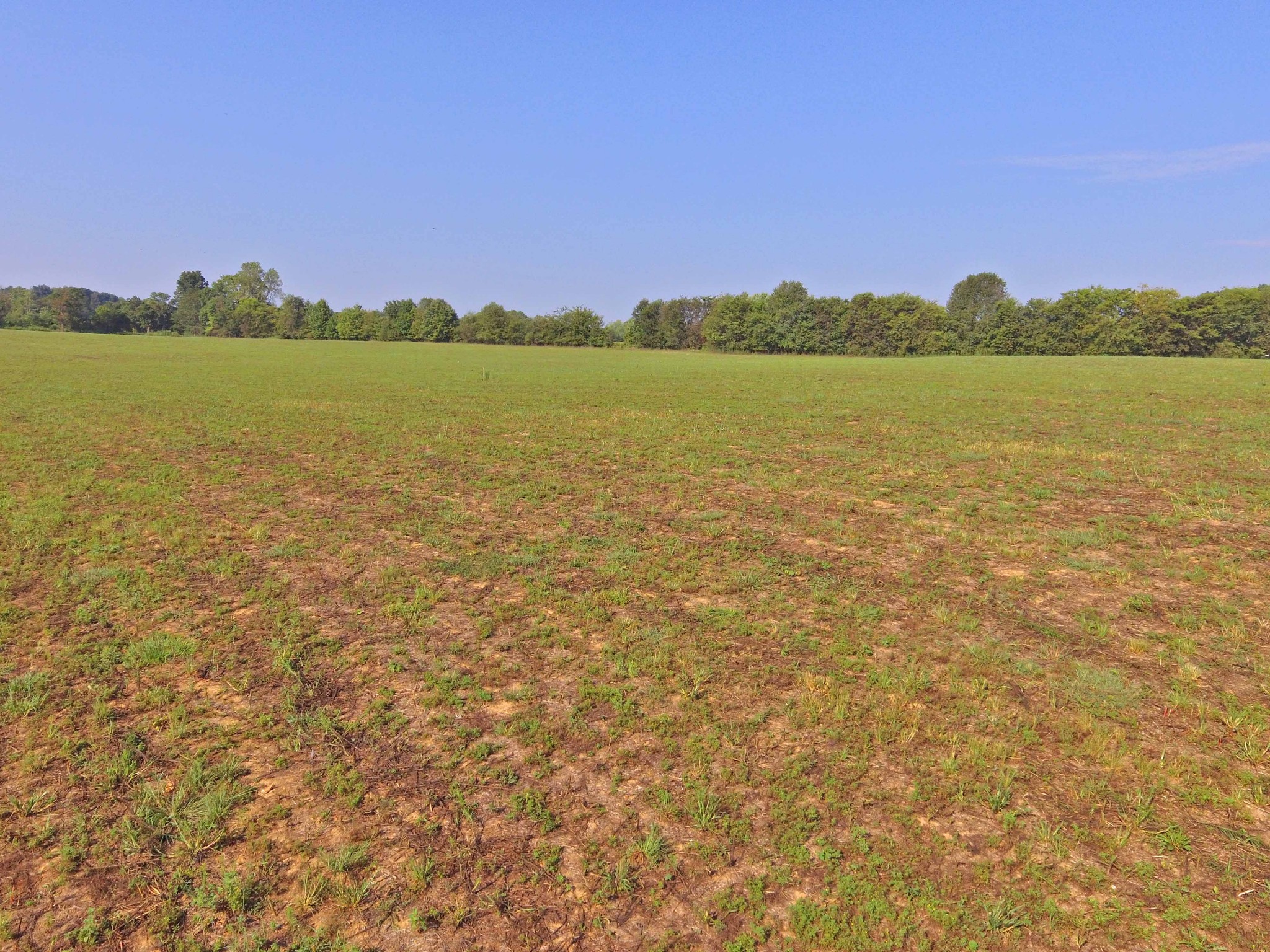 456 Clearview Road Cottontown, TN 37048 - Photo 5 of 6 a view of an ocean and a houses