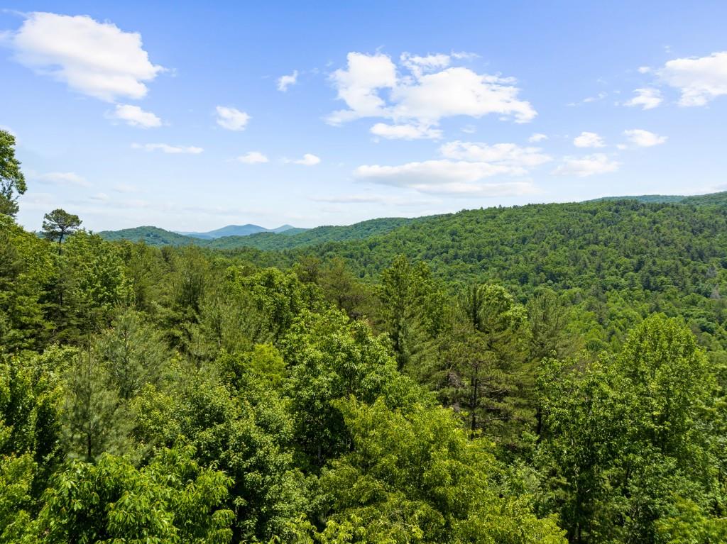 436 Geronimo Road Cherry Log, GA 30522 - Photo 37 of 58 a view of a city with lush green forest