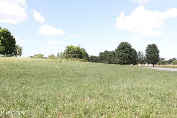 $50,000 | Lot 2 Magnolia Way, Madisonville, TN 37354
