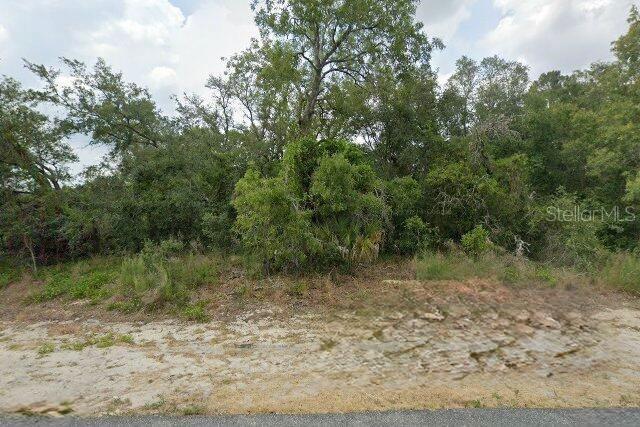 10381 Clarion Street Spring Hill, FL 34608 - Photo 2 of 2 a view of a forest