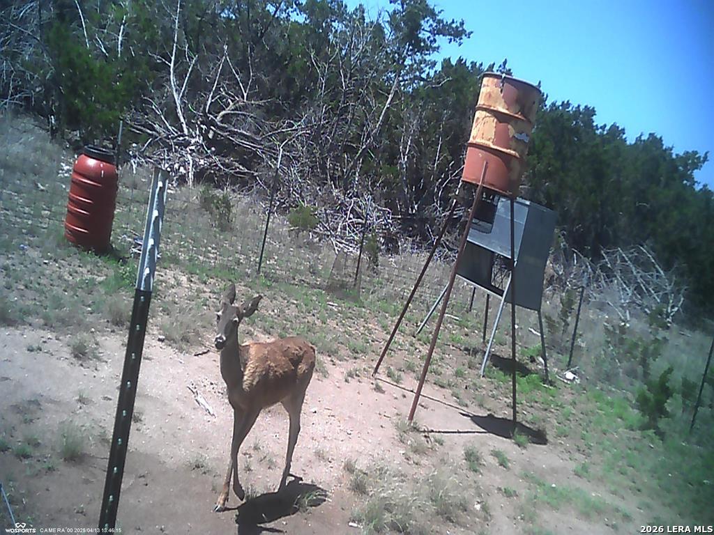 204 Wilson Rand Road Hunt, TX 78024 - Photo 33 of 46