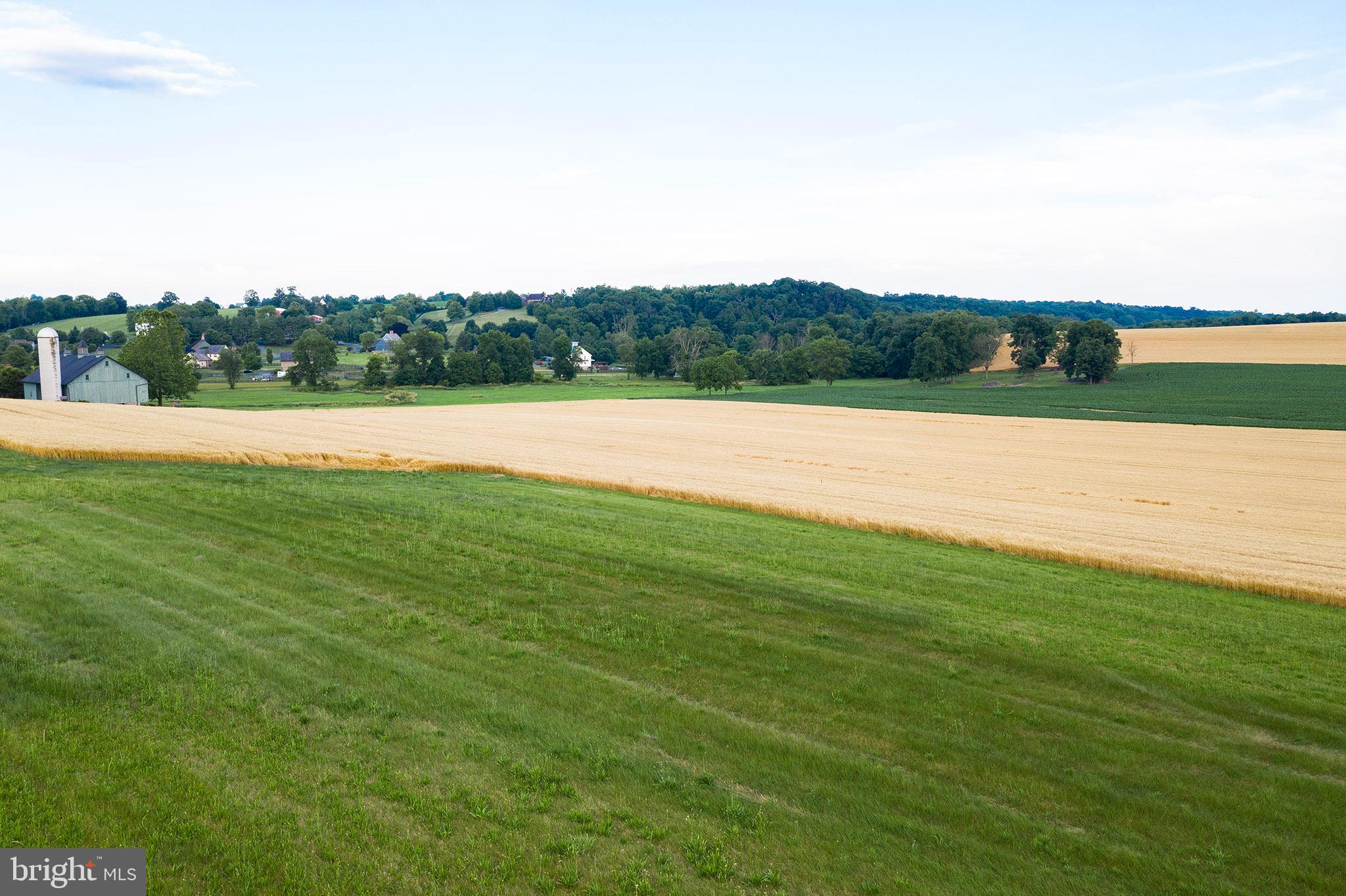 119 Jamesfield Place Manheim, PA 17545 - Photo 7 of 8 a view of a green field with clear sky