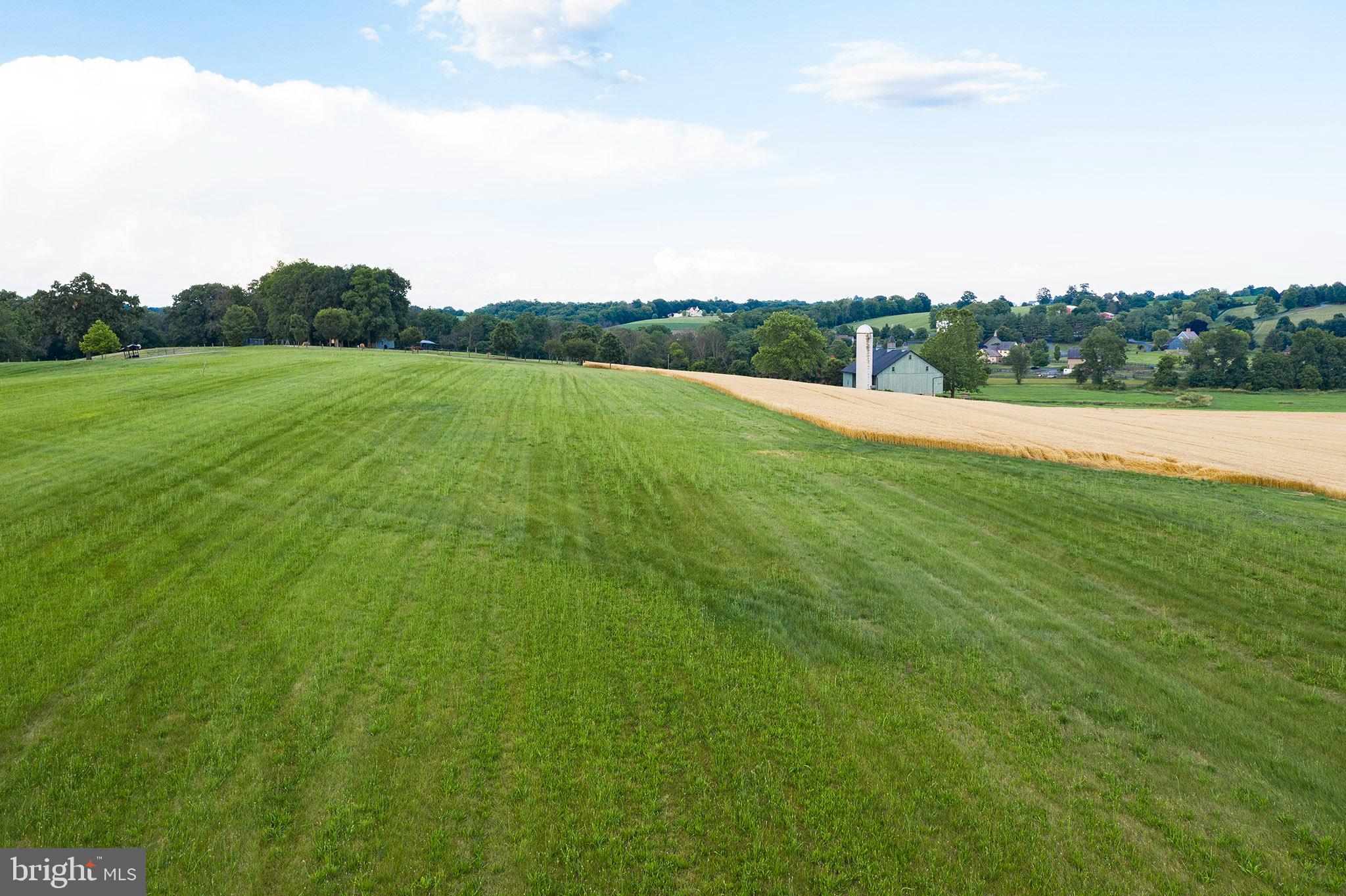 119 Jamesfield Place Manheim, PA 17545 - Photo 8 of 8 a view of a green field with clear sky
