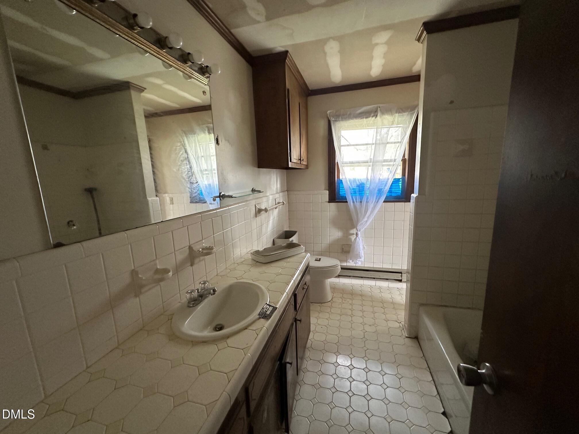 209 Greenacres Road Snow Hill, NC 28580 - Photo 6 of 15 a bathroom with a sink mirror vanity and toilet