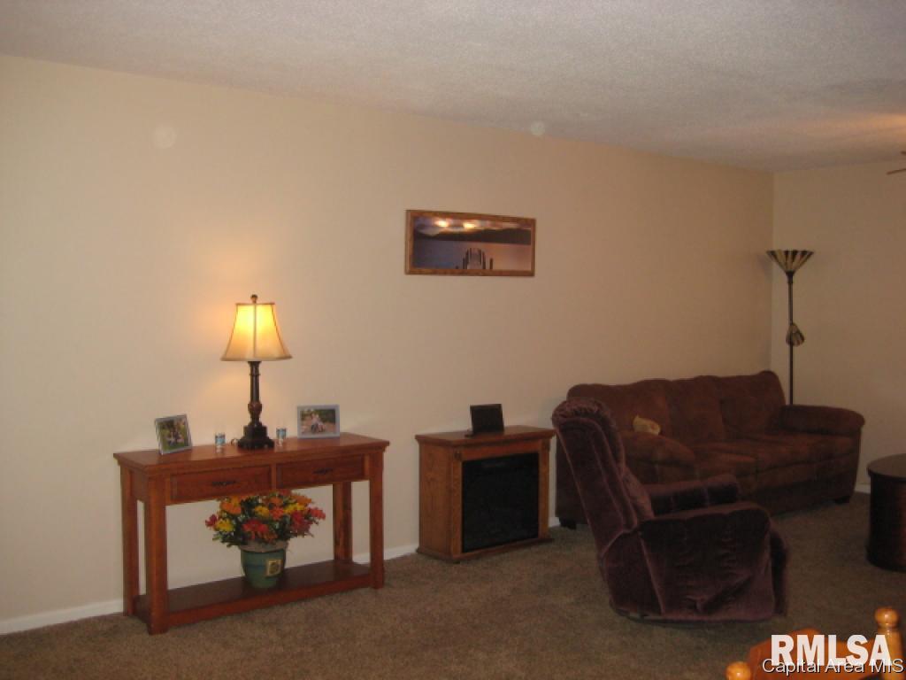 1917 Jeanette Lane, Unit 4 Springfield, IL 62702 - Photo 13 of 17 Gallery Image 13