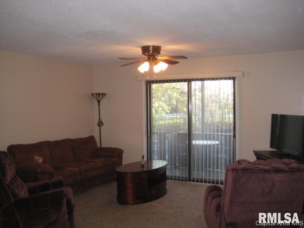1917 Jeanette Lane, Unit 4 Springfield, IL 62702 - Photo 14 of 17 Gallery Image 14