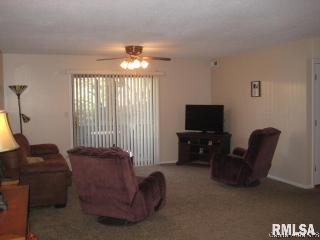 1917 Jeanette Lane, Unit 4 Springfield, IL 62702 - Photo 15 of 17 Gallery Image 15