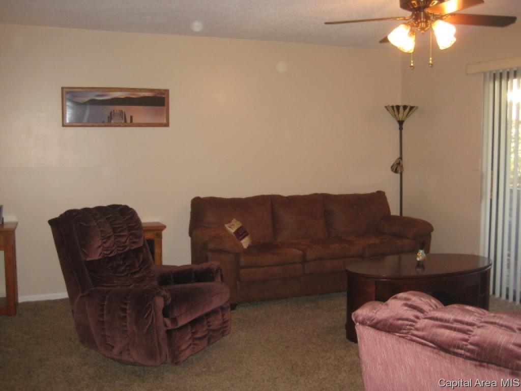 1917 Jeanette Lane, Unit 4 Springfield, IL 62702 - Photo 16 of 17 Gallery Image 16