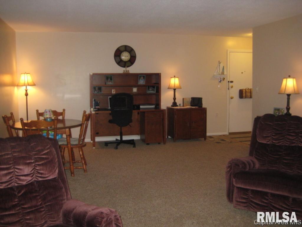 1917 Jeanette Lane, Unit 4 Springfield, IL 62702 - Photo 17 of 17 Gallery Image 17