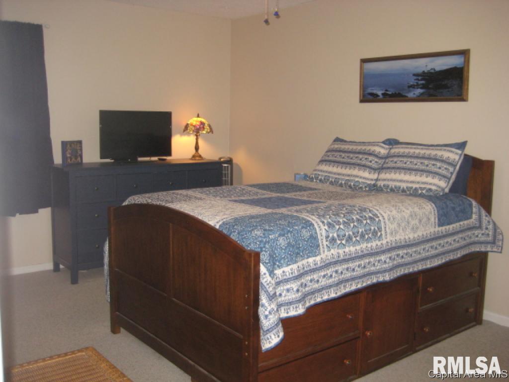 1917 Jeanette Lane, Unit 4 Springfield, IL 62702 - Photo 2 of 17 Gallery Image 2