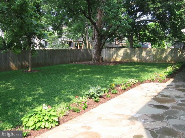 Large back yard